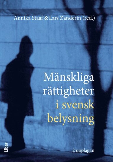 Annika Staaf, Lars Zanderin, Håkan Hydén, Birgitta Nyström, Daniel Silander, Eva Schömer, Maria Wolmesjö, Finnur Magnússon - Mänskliga rättigheter i svensk belysning, Häftad