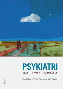 Finn Skårderud, Svein Haugsgjerd, Erik Stänicke - Psykiatri, Häftad