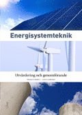 Francis M. Vanek, Louis D. Albright - Energisystemteknik : utvärdering och genomförande, Inbunden