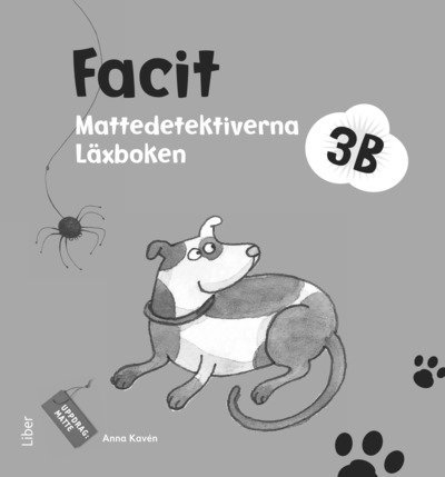 Anna Kavén, Hans Persson, Lena Palovaara, Mats Wänblad - Mattedetektiverna 3B Facit, Häftad