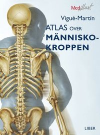 bokomslag Atlas över människokroppen