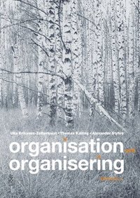 bokomslag Organisation och organisering