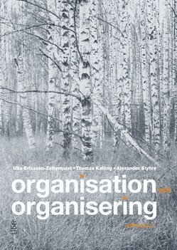 Ulla Eriksson-Zetterquist, Thomas Kalling, Alexander Styhre - Organisation och organisering, Häftad