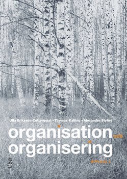 bokomslag Organisation och organisering