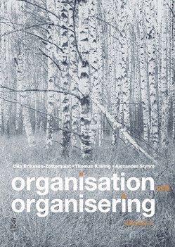 Organisation och organisering 1