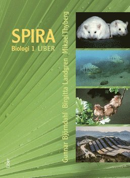 Spira 1 1