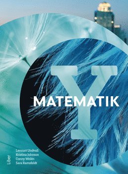 bokomslag Matematik Y