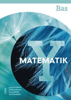 bokomslag Matematik Y Bas