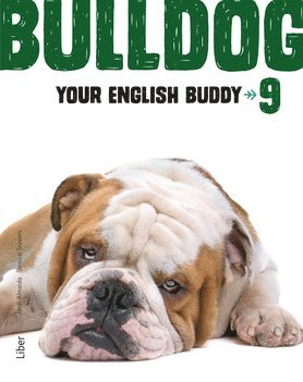 Bulldog - Your English Buddy 9 1