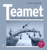 bokomslag Teamet : Utveckling, effektivitet och förändring i grupper