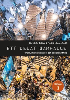 Ett delat samhälle : makt, intersektionalitet och social skiktning, Häftad