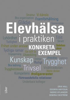 Elevhälsa i praktiken : Konkreta exempel 1