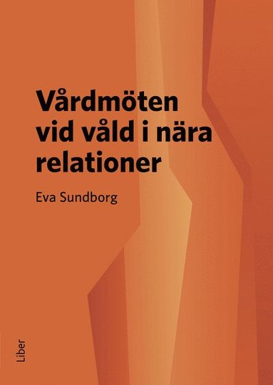 bokomslag Vårdmöten vid våld i nära relationer