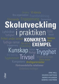 Skolutveckling i praktiken : Konkreta exempel 1