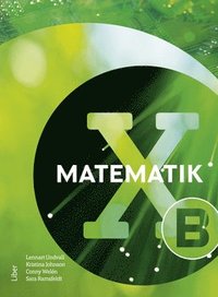 bokomslag Matematik X B-boken