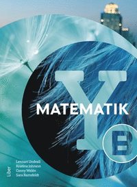 bokomslag Matematik Y B-boken
