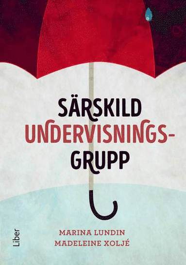 bokomslag Särskild undervisningsgrupp