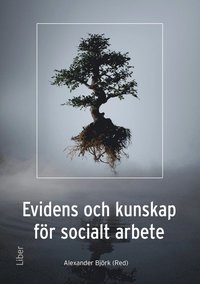 bokomslag Evidens och kunskap för socialt arbete