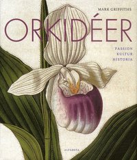 bokomslag Orkidéer : passion, kultur, historia