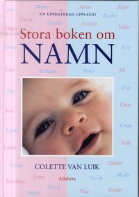 bokomslag Stora boken om namn