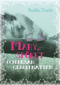 bokomslag Mary, spöket och resan genom natten