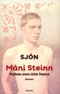 bokomslag Máni Steinn : pojken som inte fanns