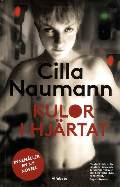 Cilla Naumann - Kulor i hjärtat, Kartonnage