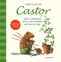 bokomslag Castor. Odla, snickra och laga punka med Castor och Frippe