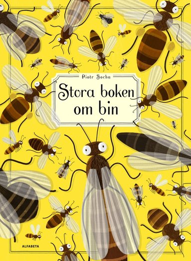 Piotr Socha - Stora boken om bin, Inbunden
