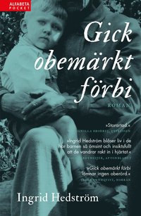 bokomslag Gick obemärkt förbi