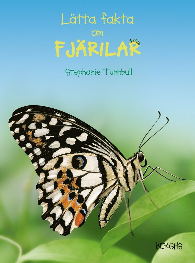 Stephanie Turnbull - Lätta fakta om fjärilar, Inbunden