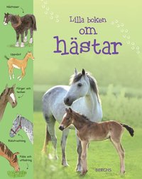 bokomslag Lilla boken om hästar