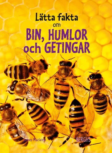 James Maclaine - Lätta fakta om bin, humlor och  getingar, Inbunden