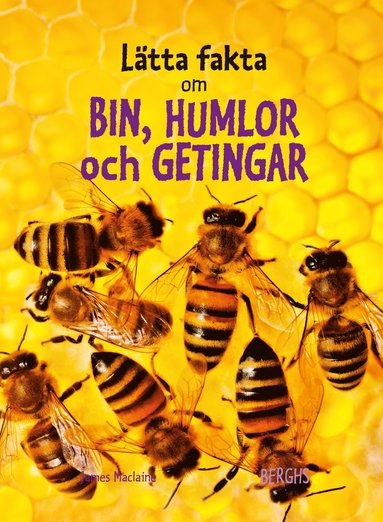 bokomslag Lätta fakta om bin, humlor och  getingar
