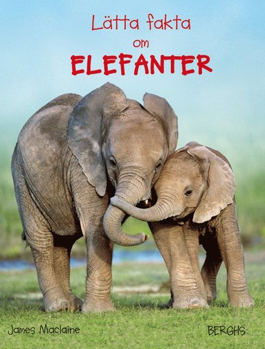 bokomslag Lätta fakta om elefanter