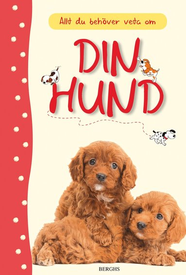 Katherine Starke - Allt du behöver veta om din hund, Inbunden