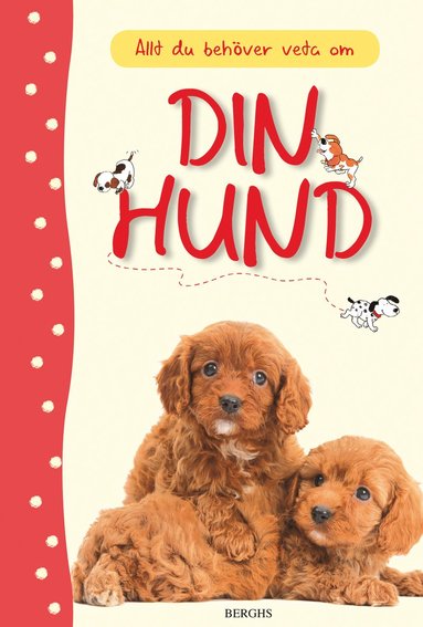 bokomslag Allt du behöver veta om din hund