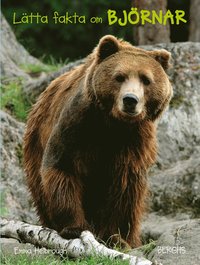 bokomslag Lätta fakta om björnar
