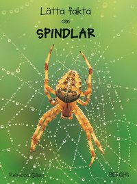 bokomslag Lätta fakta om spindlar