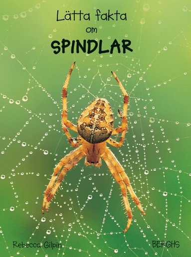 Rebecca Gilpin - Lätta fakta om spindlar, Inbunden