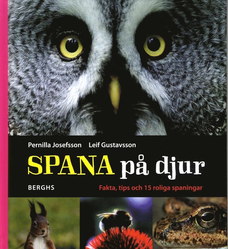 Spana på djur 1