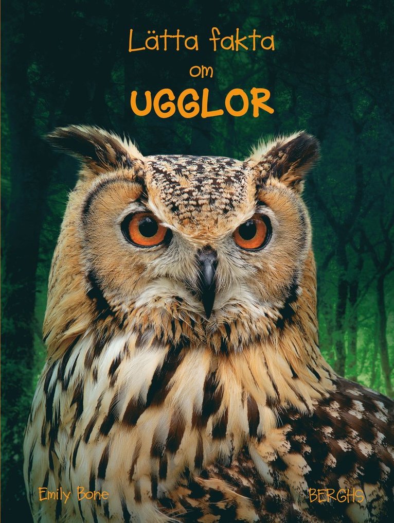 Emily Bone - Lätta fakta om ugglor, Inbunden
