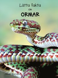 bokomslag Lätta fakta om ormar
