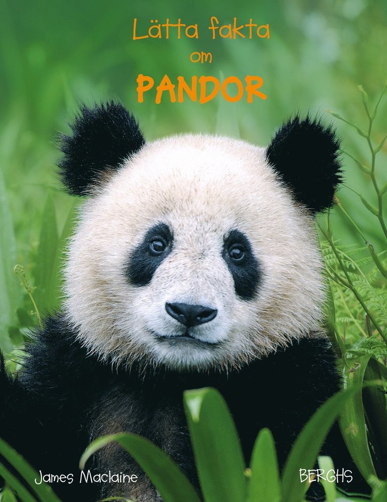Lätta fakta om pandor 1