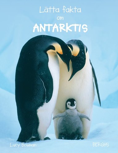 bokomslag Lätta fakta om Antarktis