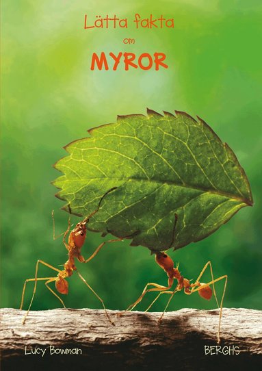 Lucy Bowman - Lätta fakta om myror, Inbunden