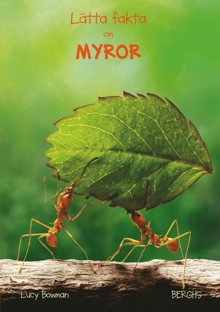 Lätta fakta om myror