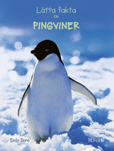 bokomslag Lätta fakta om pingviner