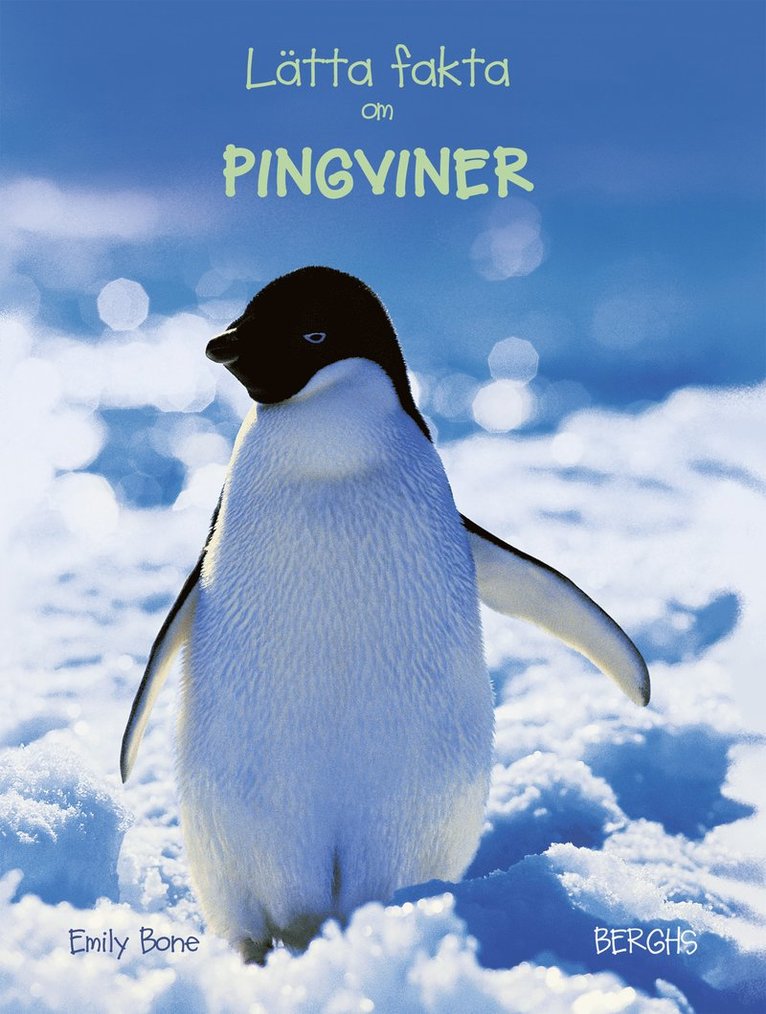 Lätta fakta om pingviner