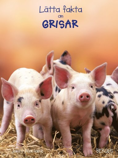 bokomslag Lätta fakta om grisar